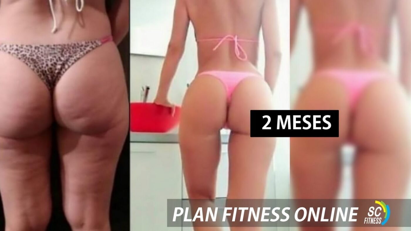SC Fitness