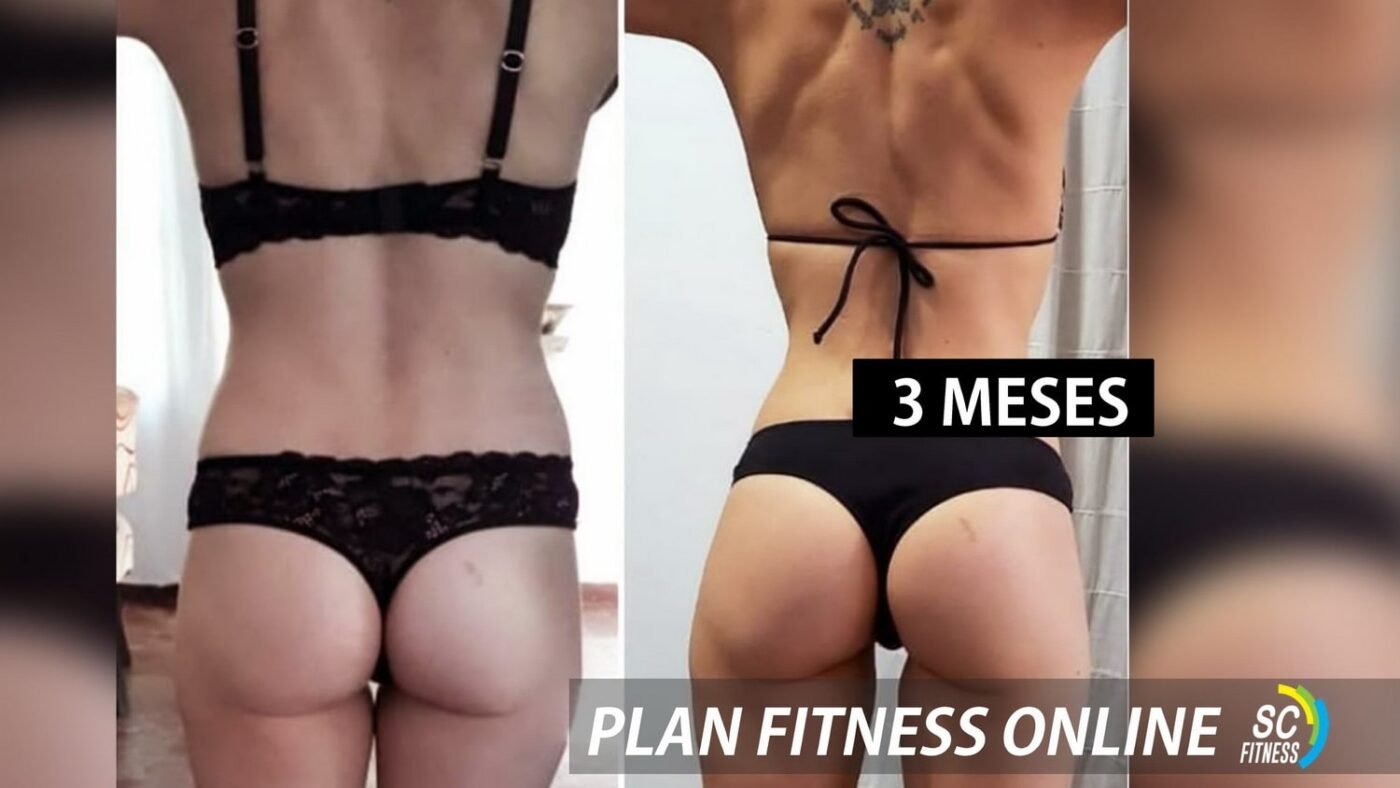 SC Fitness