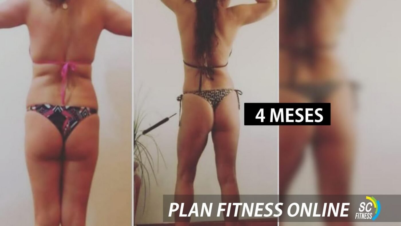 SC Fitness